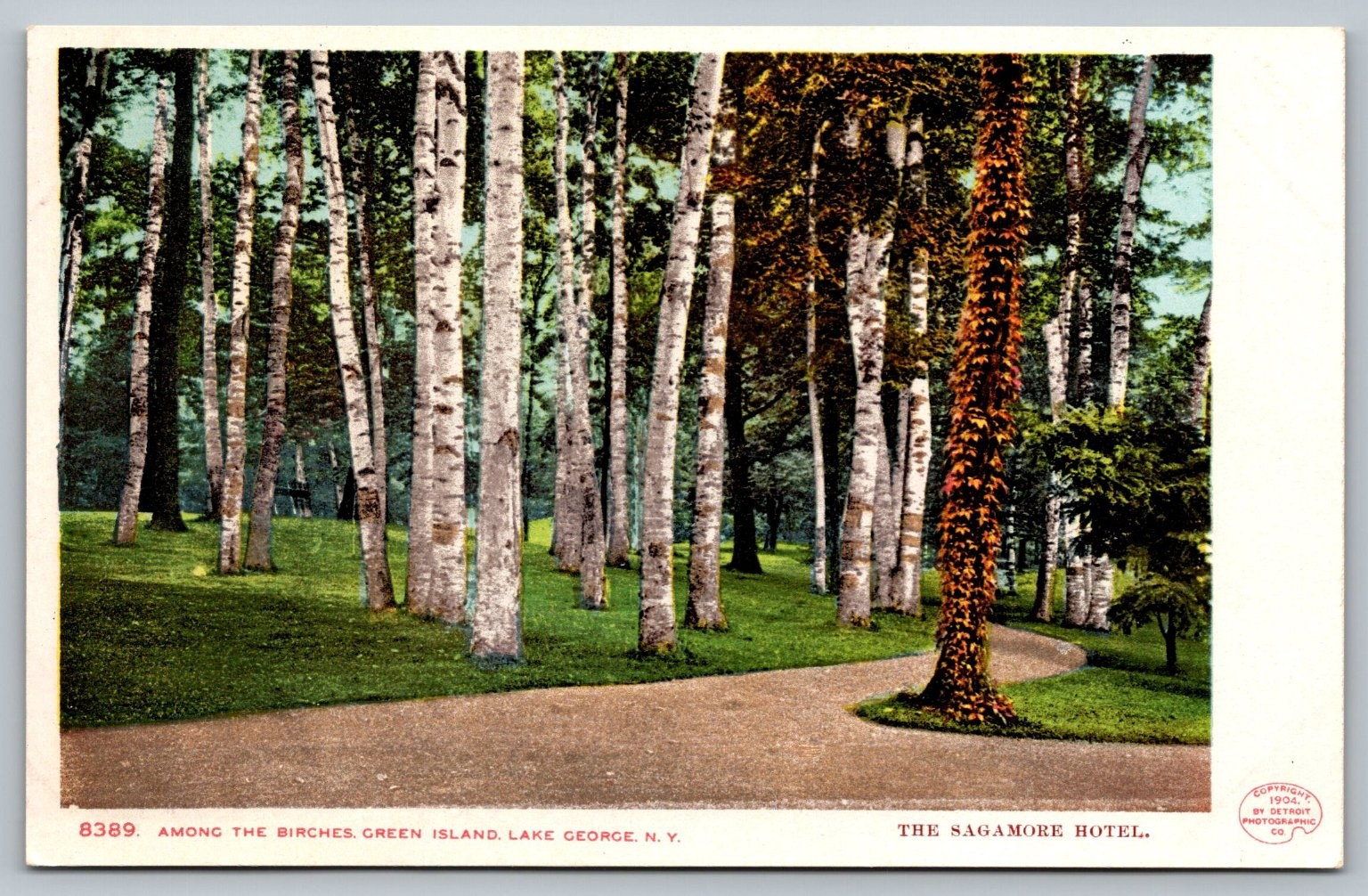 1907 Sagamore Hotel Lake George NY White Birch Trees Green Island Postcard