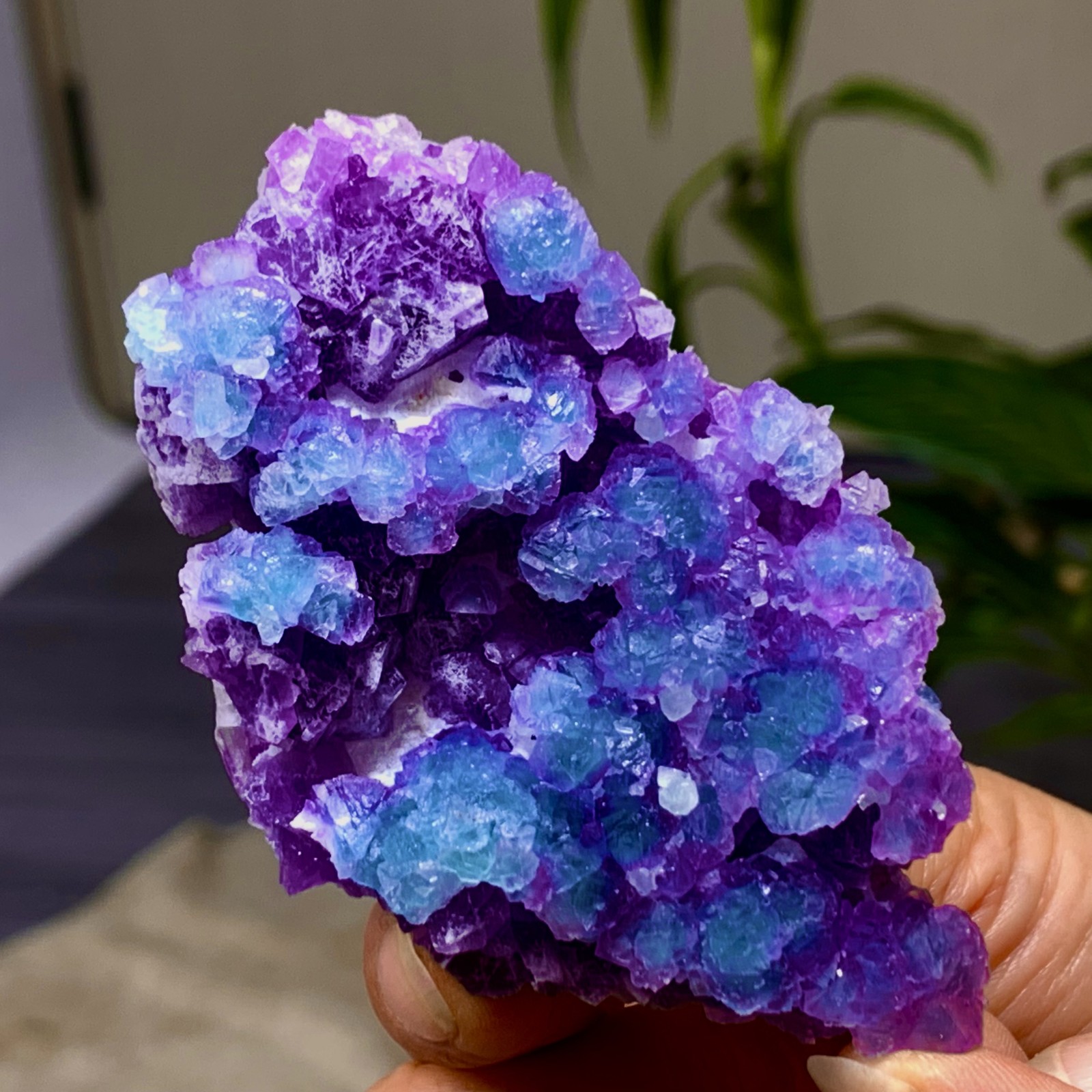 85G Natural transparent purpleblue cubic fluorite mineral crystal sample/China