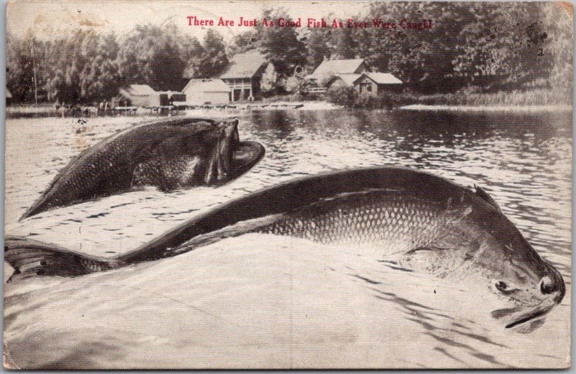 1912 FISHING Exaggeration Postcard 