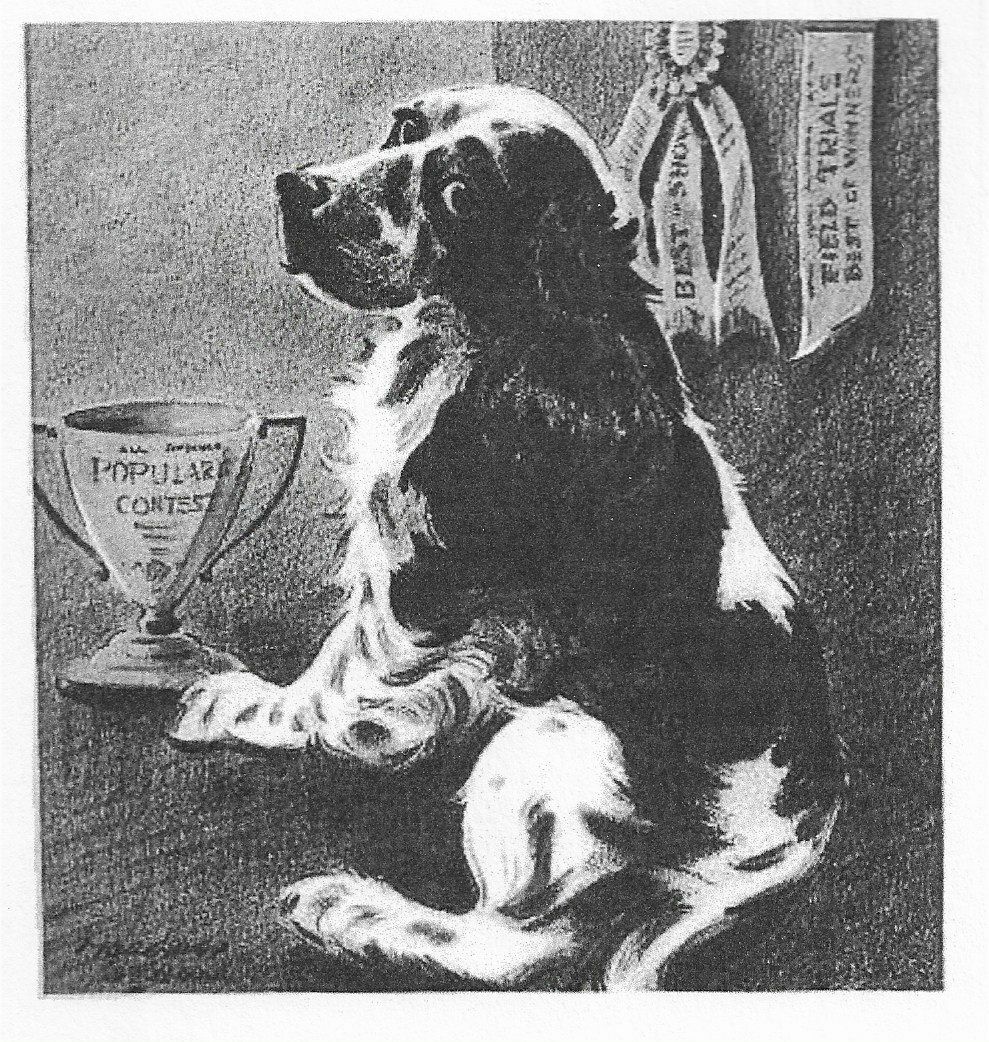 Cocker Spaniel - CUSTOM MATTED - Dog Art Print - M. Dennis \