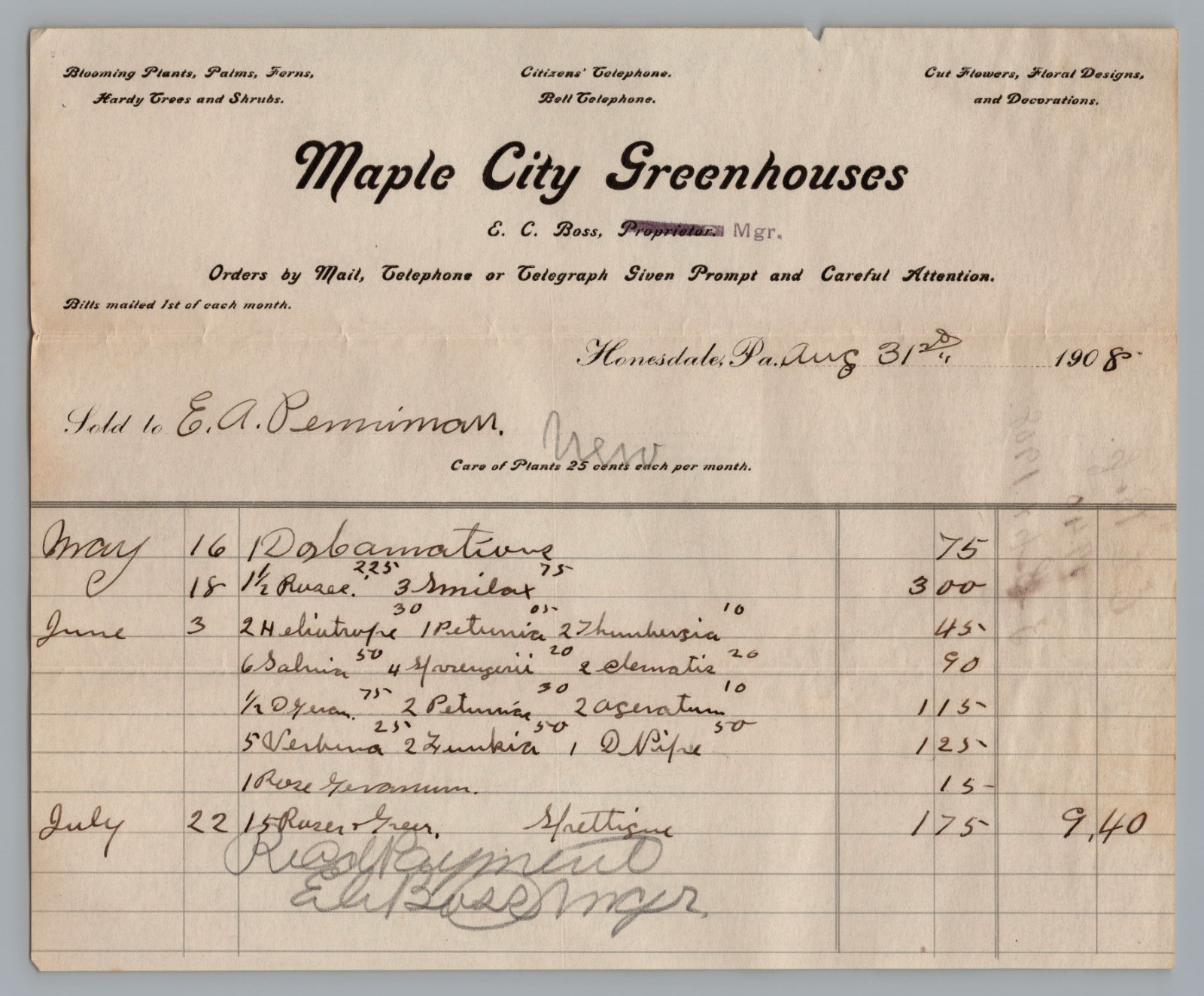 1908 billhead Maple City Greenhouses, Plants Honesdale, PA