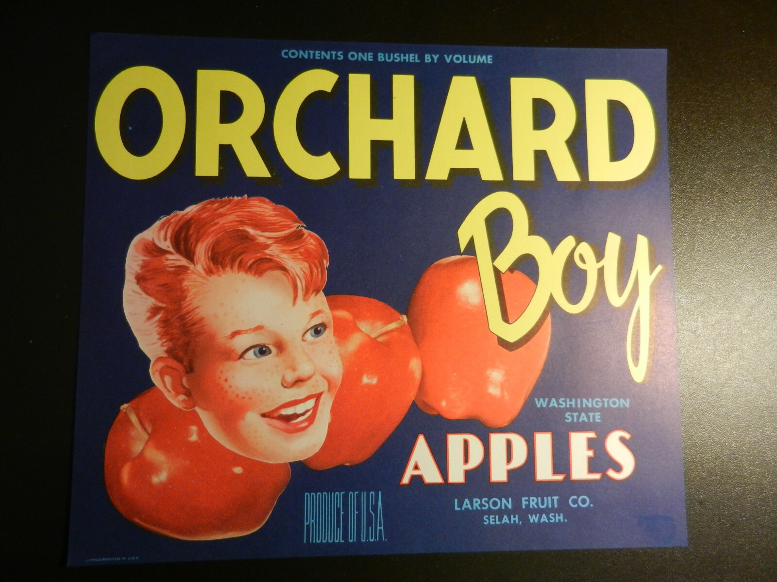 VINTAGE ORCHARD BOY APPLES UNUSED LABEL.  Approx. 8 3/4\