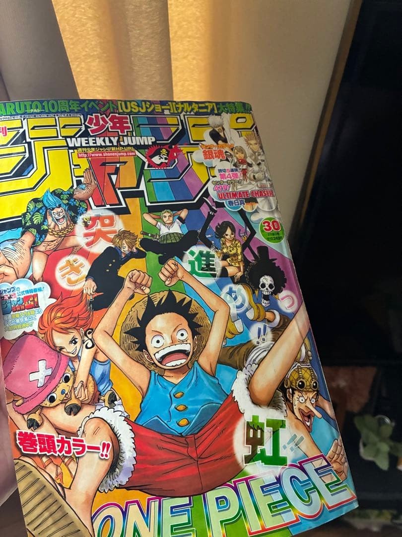 Jump 2009 ONE PIECE