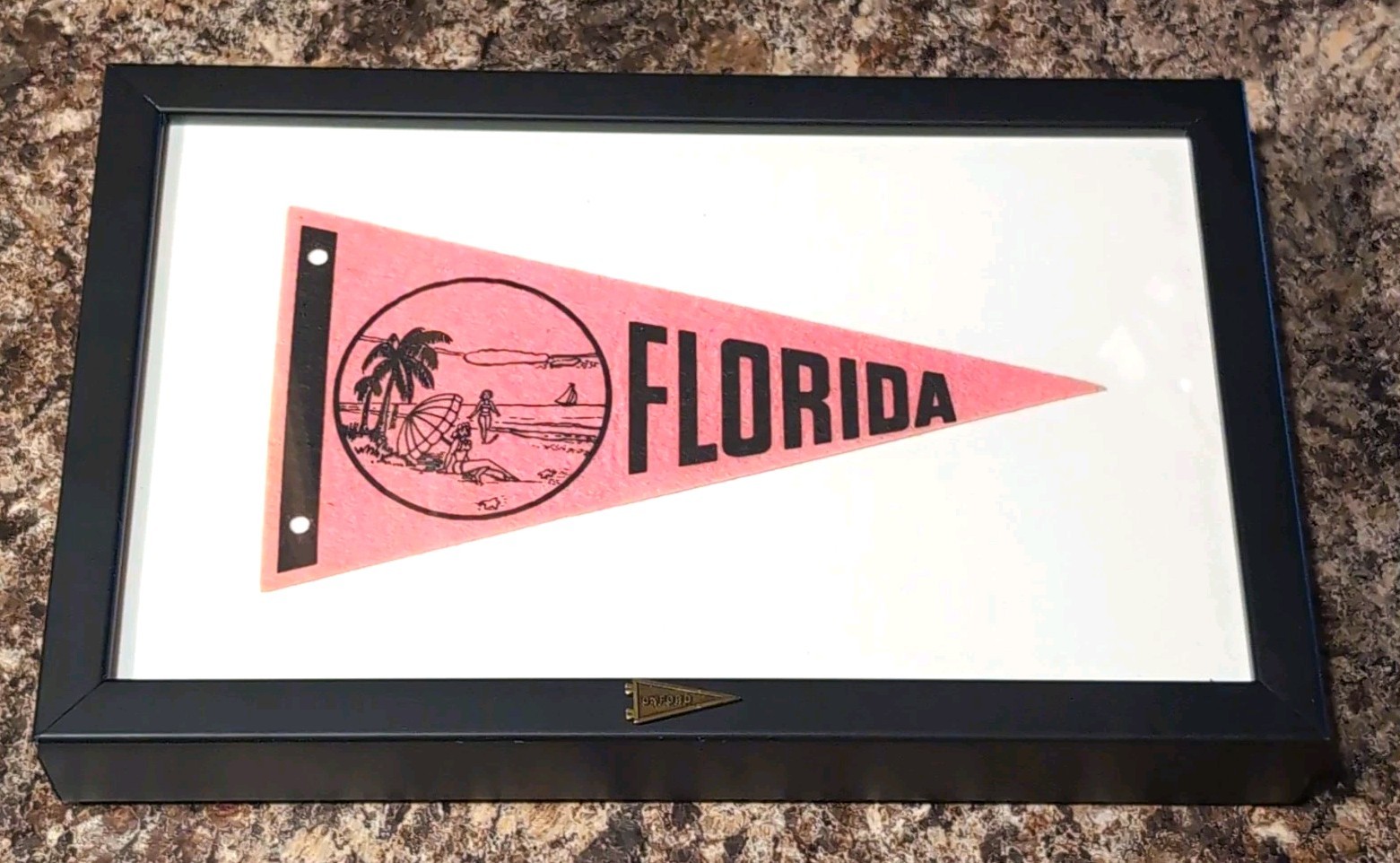 Vintage Souvenir Pennant Florida Framed Flag Travel Collectible Oxford Decor