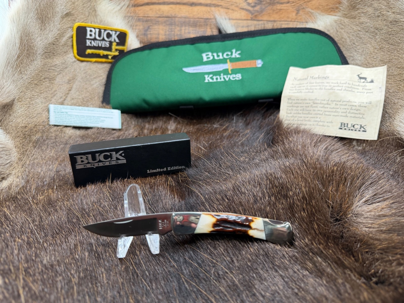 Buck 503 Limited Edition Knife Sambar Stag Handle Stainless Blade Mint In Box A