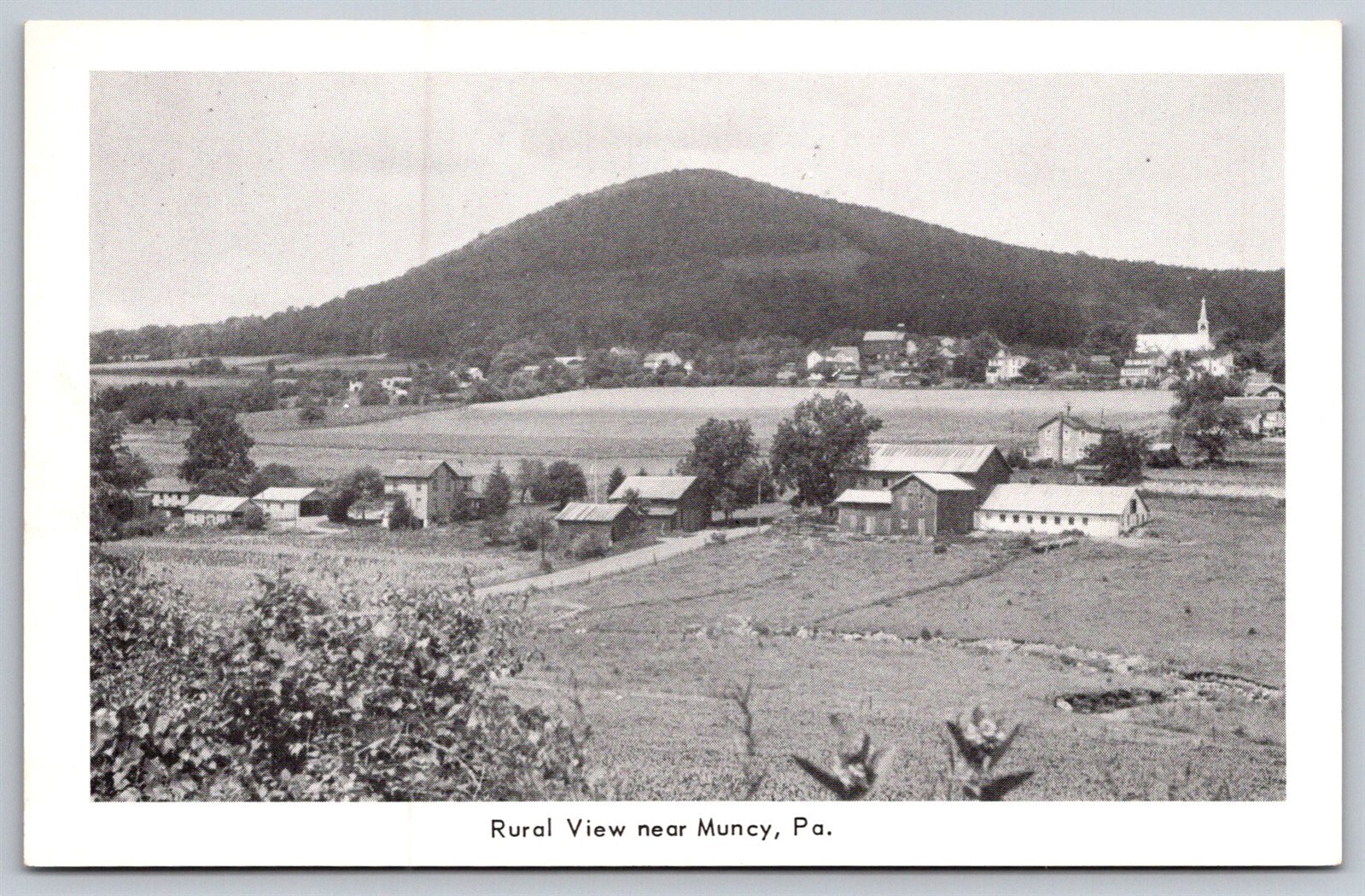 Muncy Pennsylvania WB Postcard Rural View Church Farm
