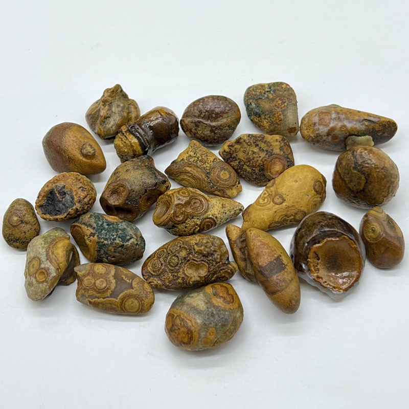 100% Natural Gobi Agate Eyes Agate Stone Collection Specimen 100G