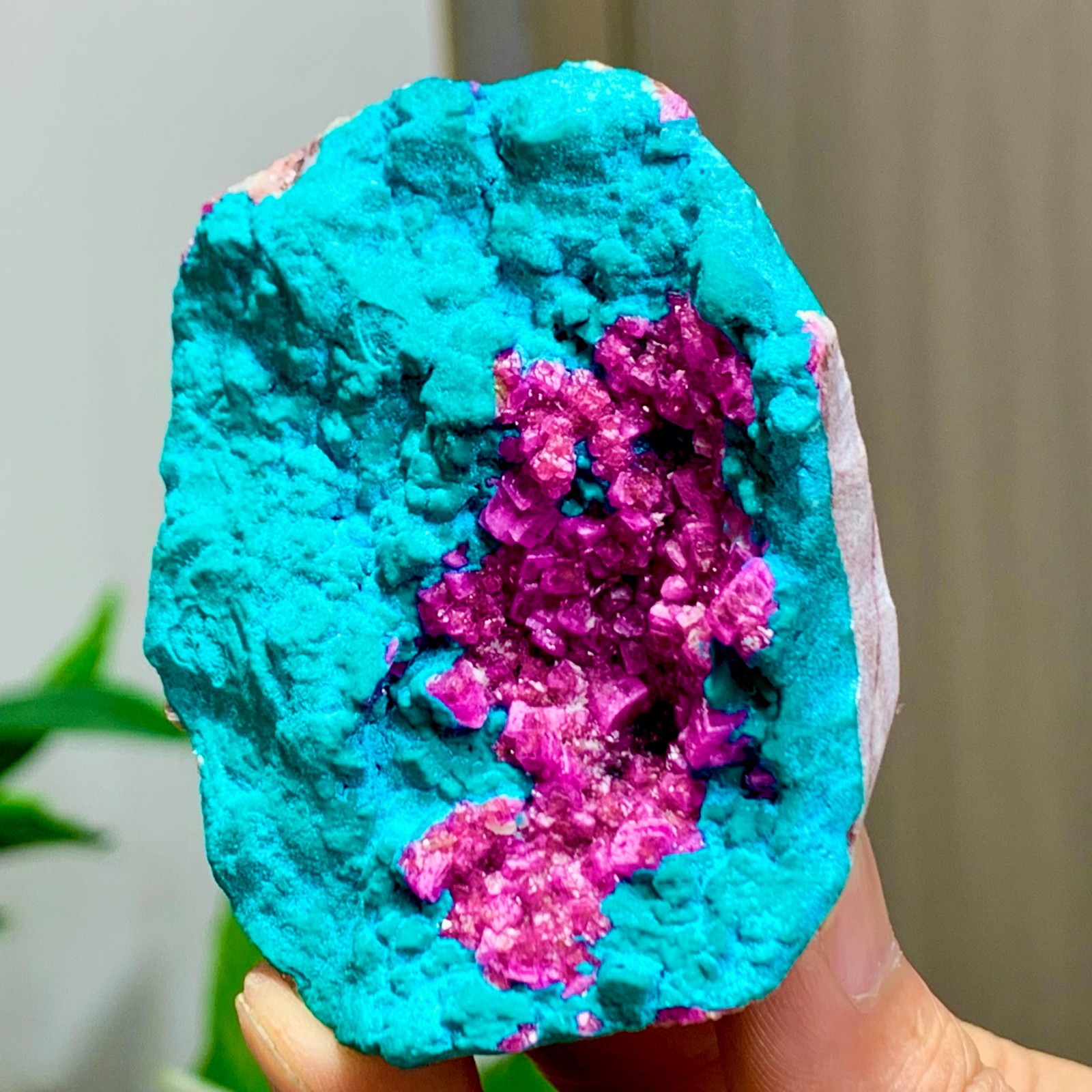 142G Natural Crystal Pink Cobalt Calcite+Chrysocolla Symbiotic specimen