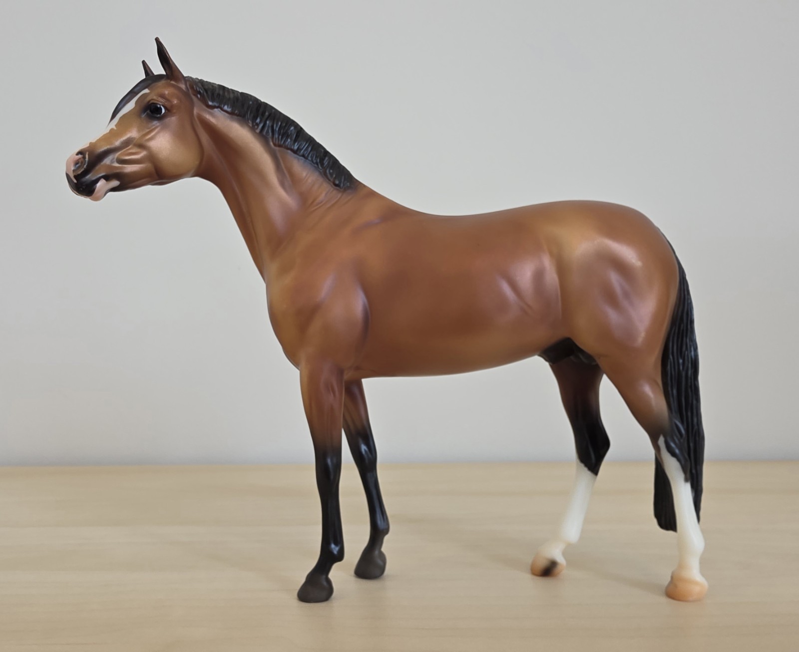 Breyer Traditional Model Horse NIKOLAS #711506 German Riding Pony BreyerFest SR