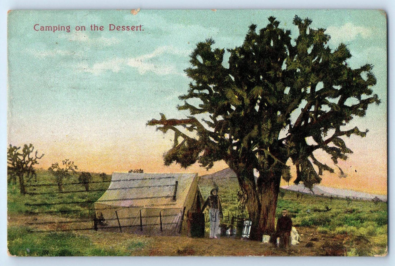 1912 View Of Camping On The Dessert Phoenix Arizona AZ Posted Antique Postcard