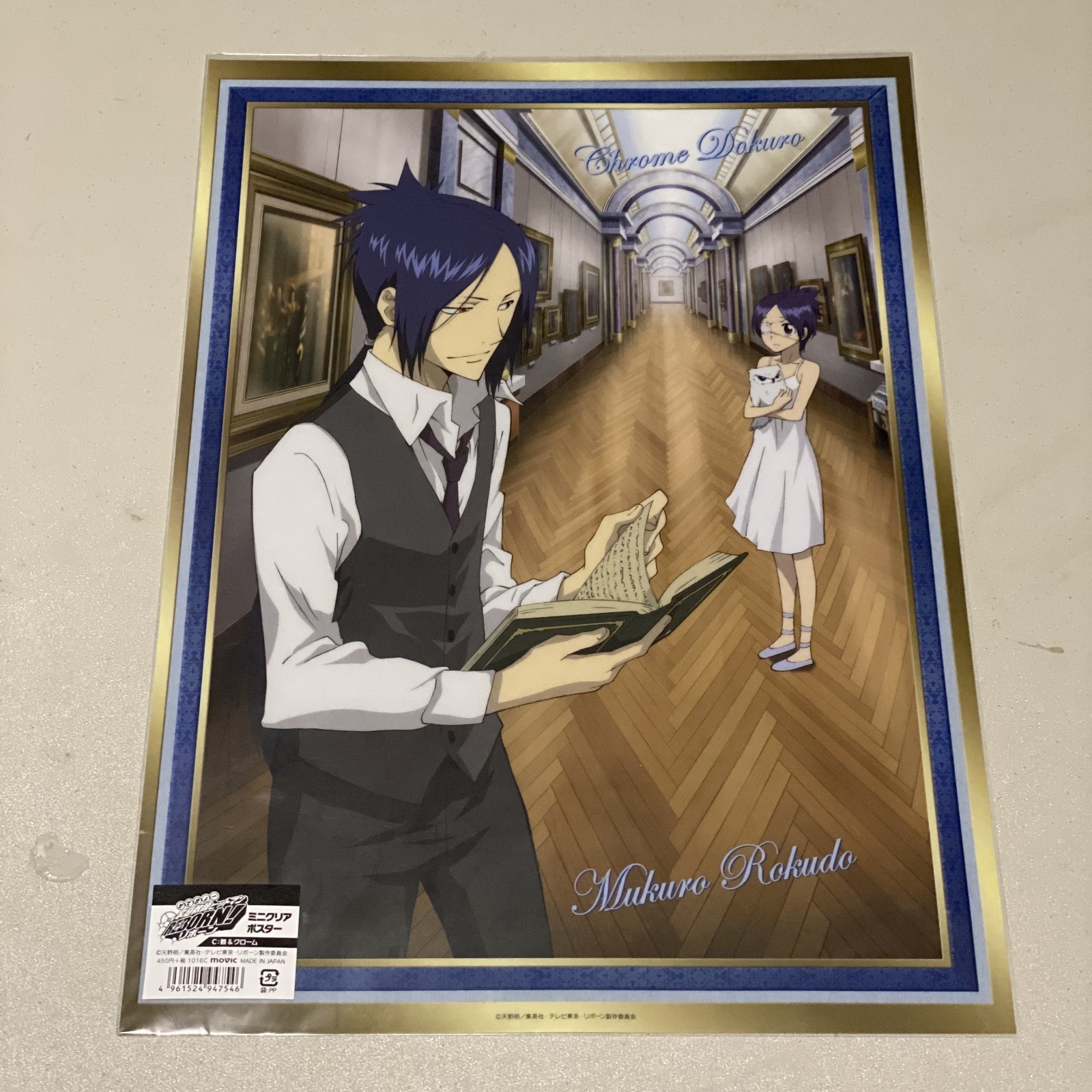Katekyo Hitman Reborn Movic Chrome Dokuro & Mukuro Rokudo Anime Clear Poster