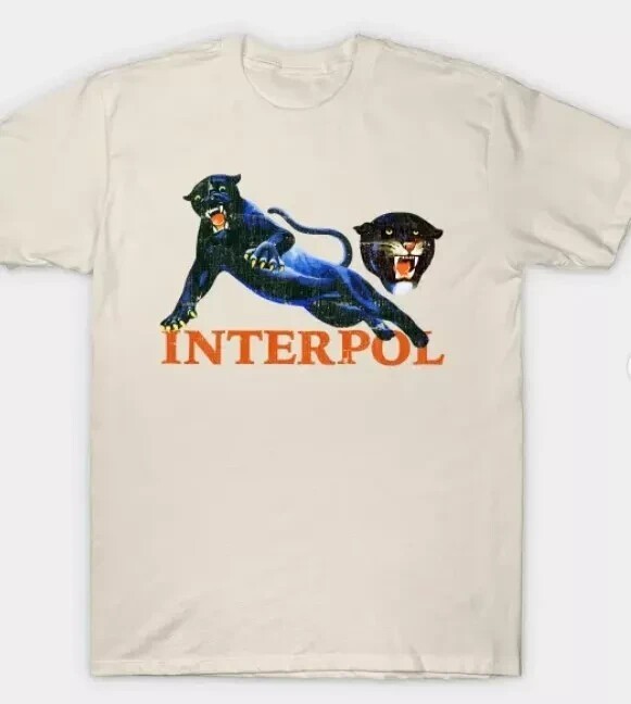 Retro Interpol band t-shirt, gift for rock fan, men women shirt