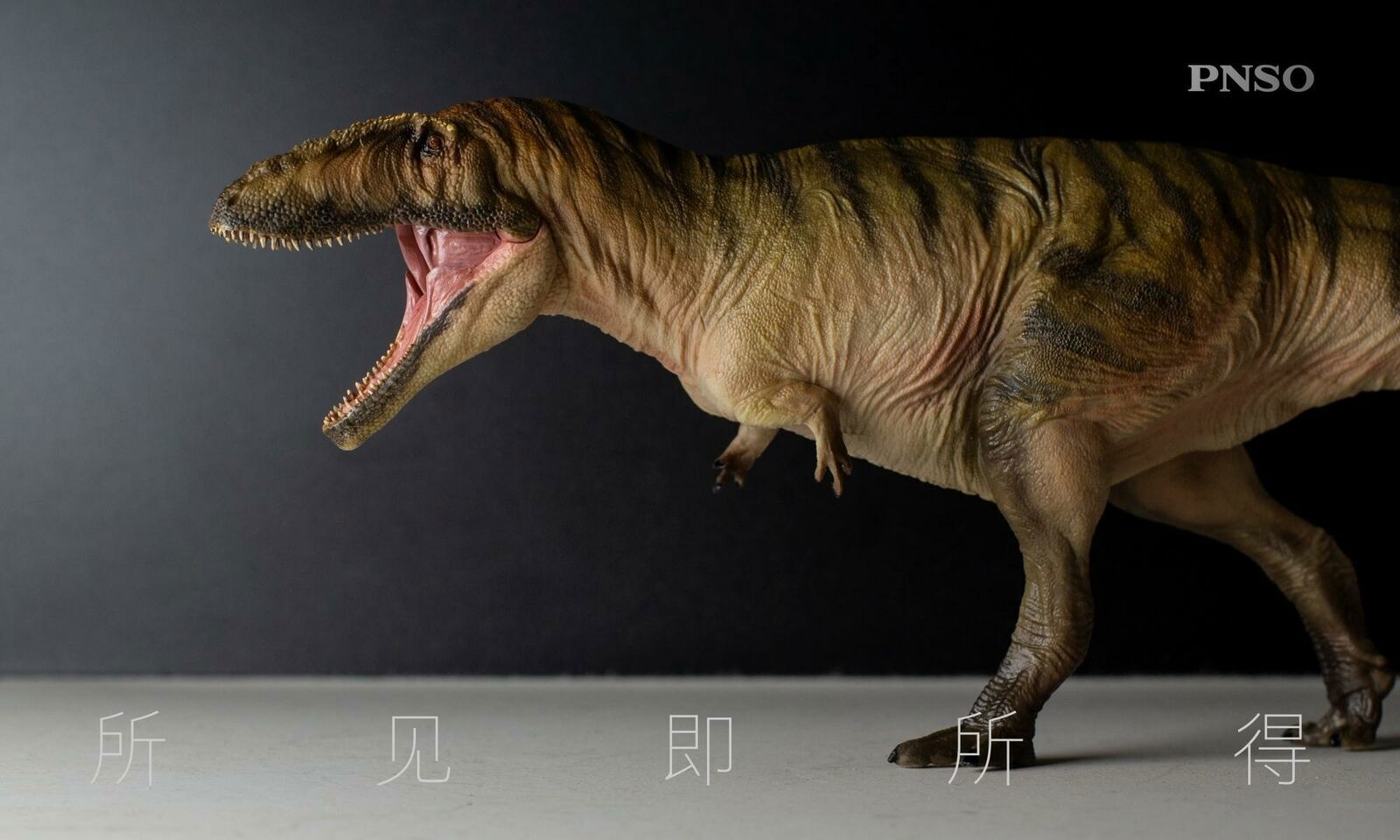 Pnso Carcharodontosaurus Gamba Model Carcharodontosauridae Dinosaur Animal Toy