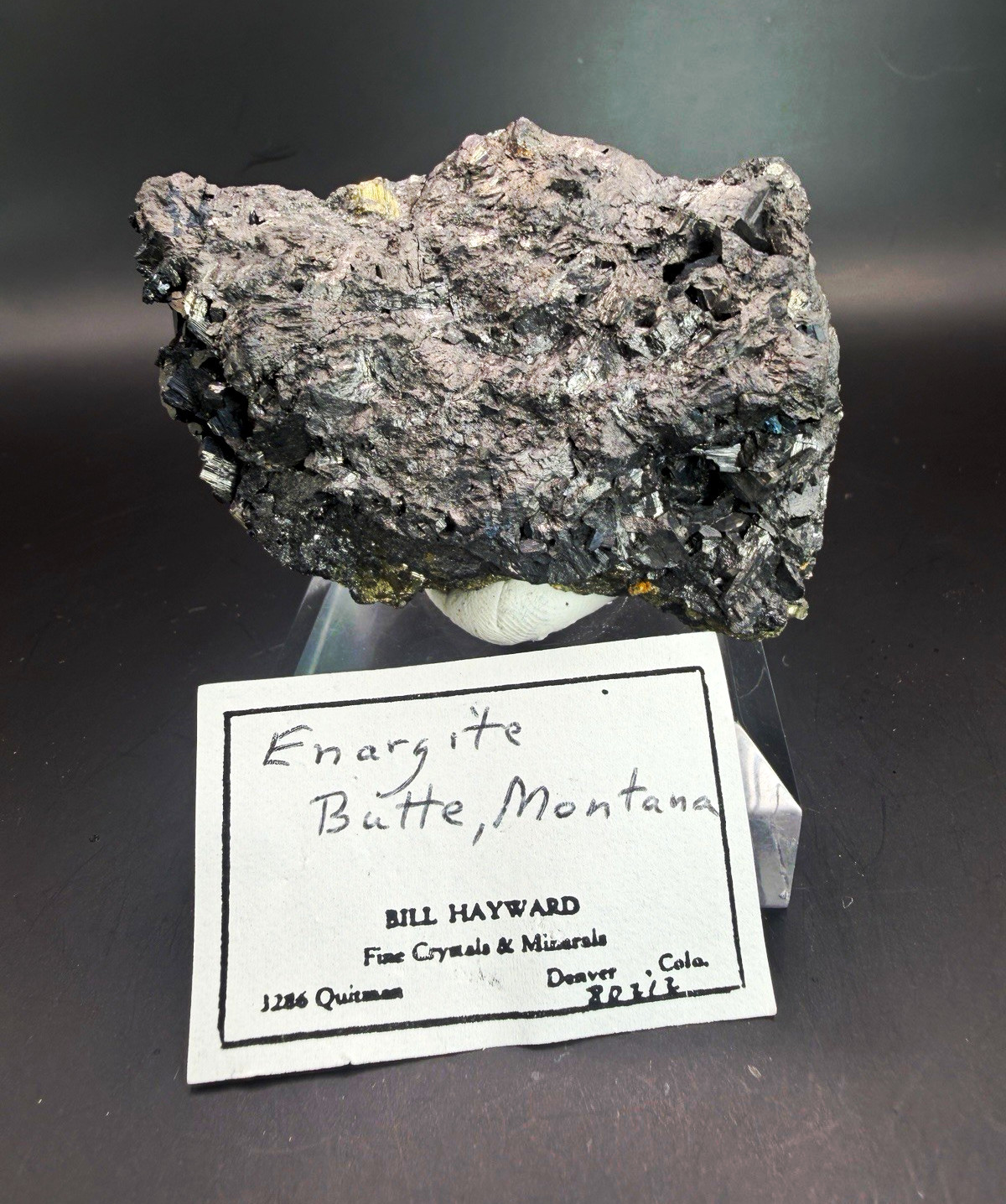 Enargite Butte Montana Classic Mineral Specimen – Bill Hayward Collection