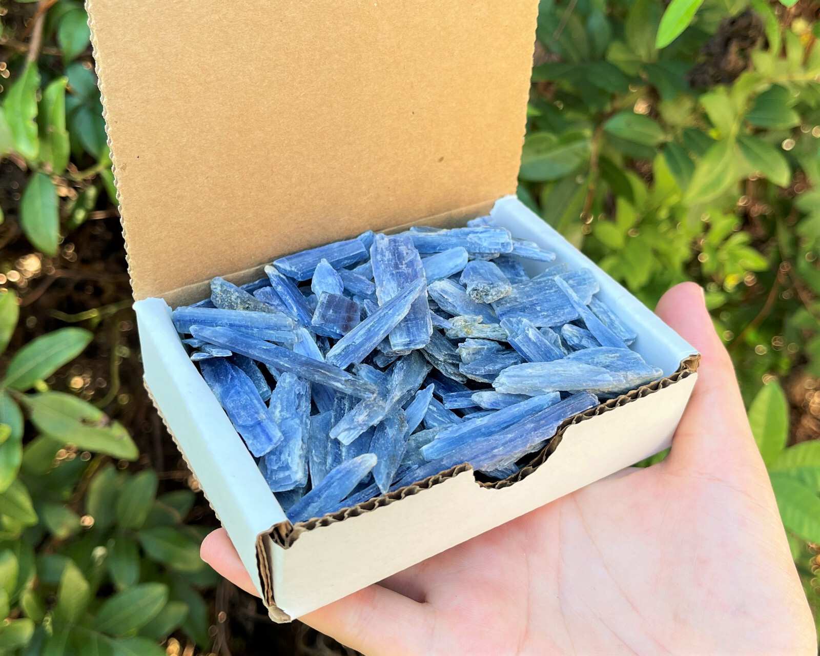 Natural Blue Kyanite Blades Gift Box Lot - 'A' Grade Kyanite Crystals 1/2 lb Lot Natural Blue Kyanite Blades Gift Box Lot - 'A' Grade Kyanite Crystals 1/2 lb Lot