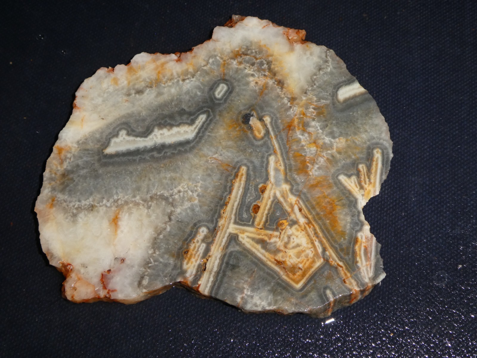 Whyoo Agate-3 7/8 \