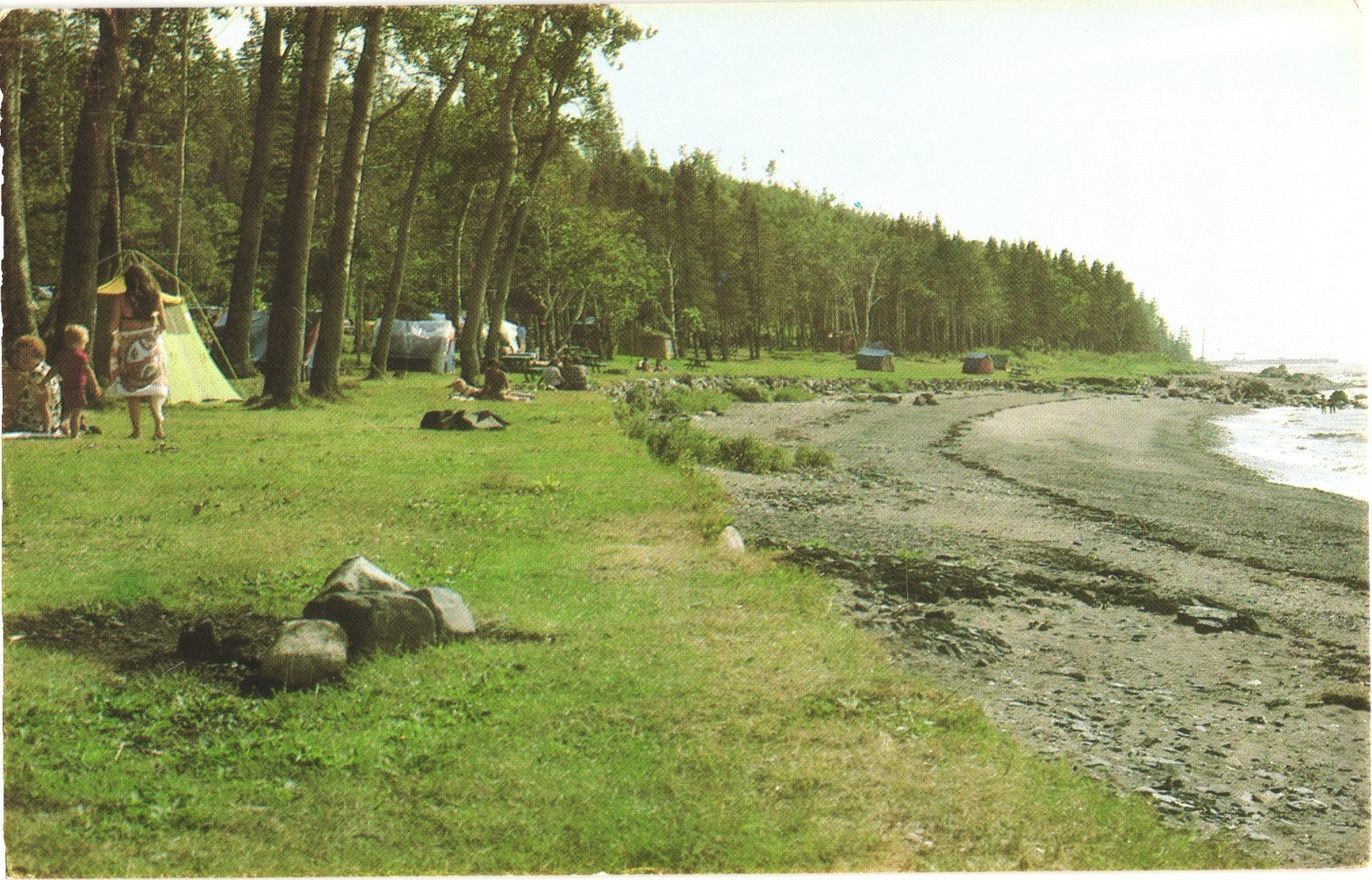 Vintage La Malbaie Quebec Canada Postcard