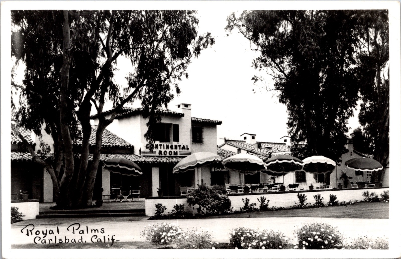 Royal Palms Carlsbad California Continental Room Restaurant Real Photo Postcard