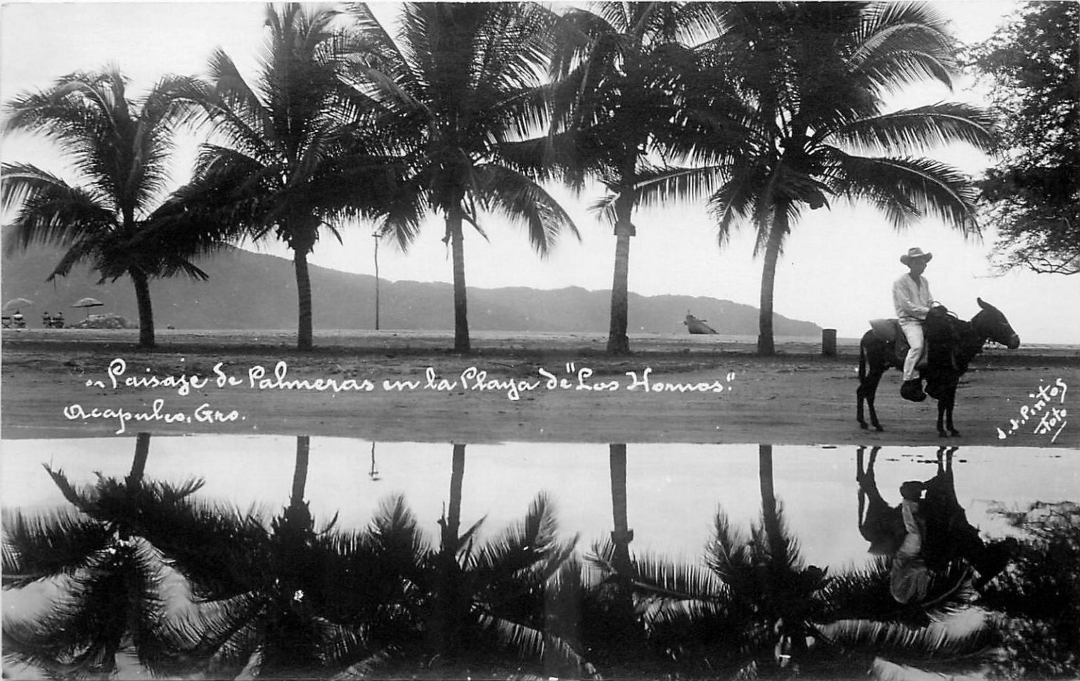 RPPC Acapulco Mexico Los Hornos Beach Palm Trees Burro J.J. Pintos 1940s
