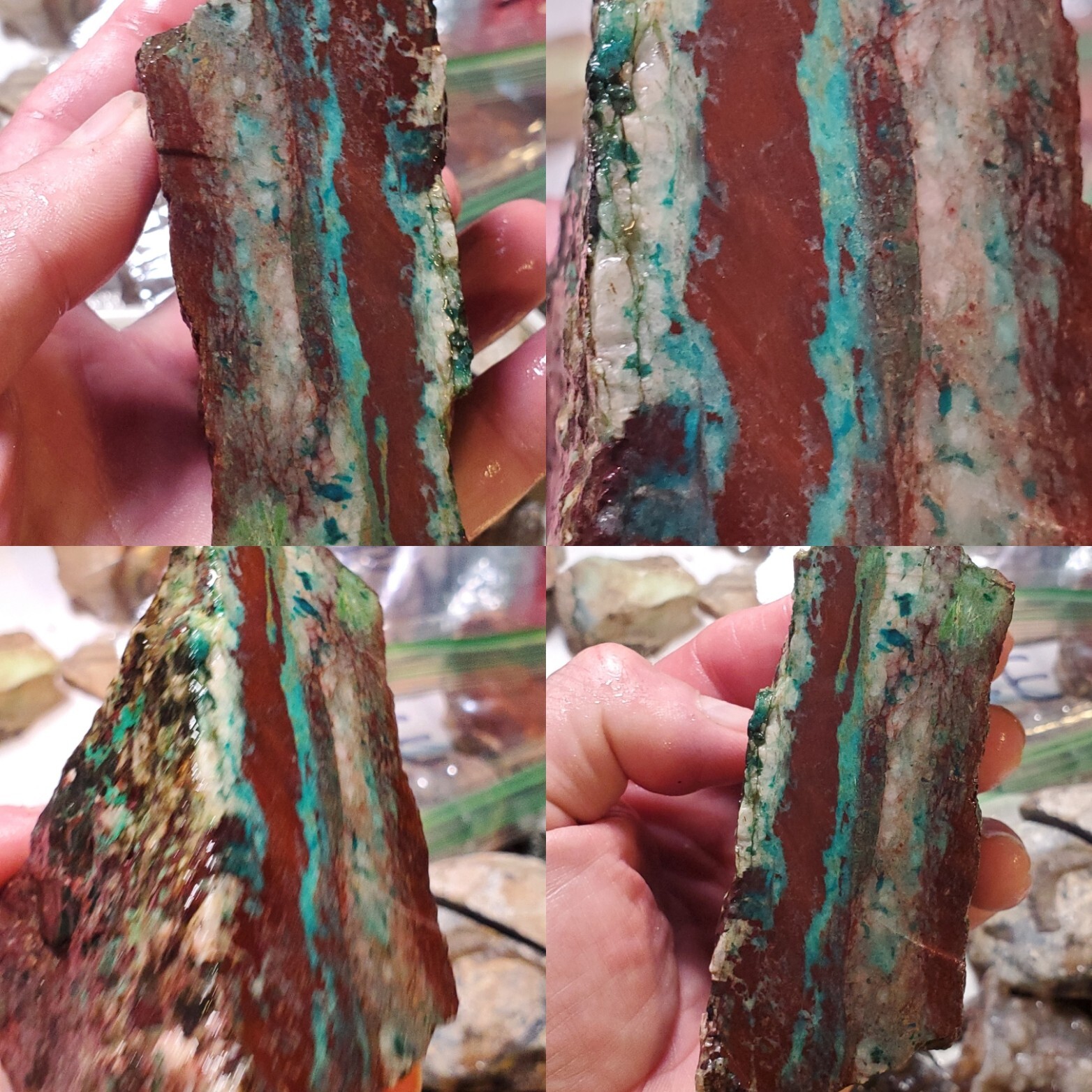 Red Mexican Parrot Wing Sonora Sunrise Chrysocolla Rough 342g Turquoise Cousin 
