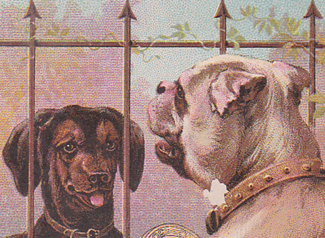 1880\'s J. & P. COATS THREAD TRADE CARD, TWO DOGS WITH A FENCE BETWEEN THEM  K931