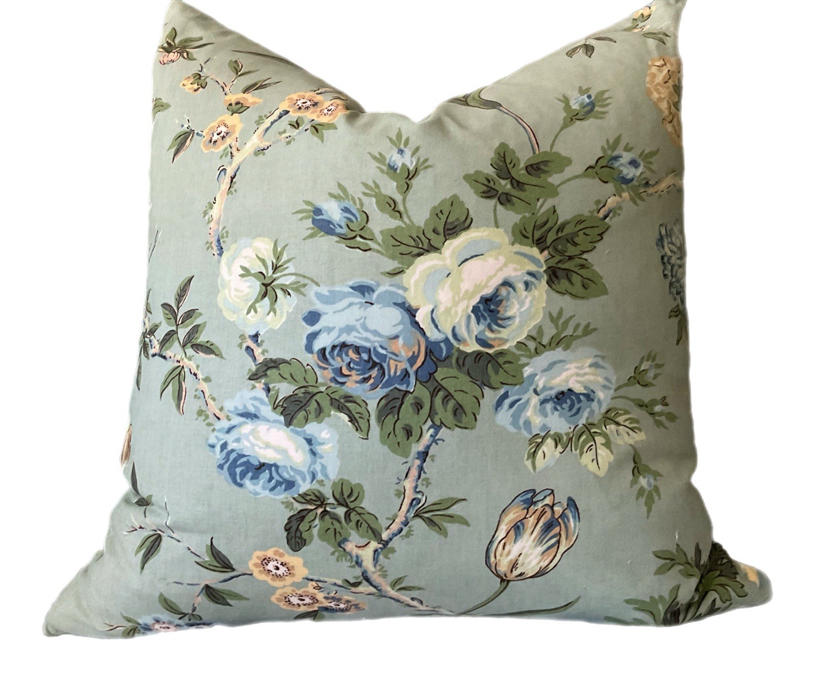 Vintage Cyrus Clark Grand Millennial Pillow Cover Robins Egg Floral Velvet Back
