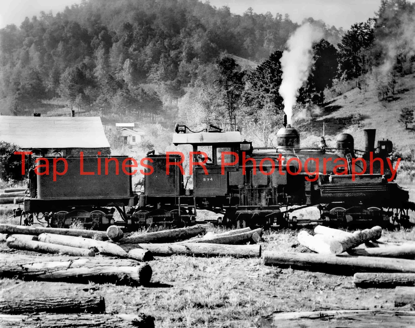 Blackwood Lbr. Tuckaseegee & South Eastern RY #1 Sylva, NC 1938 New 8x10 Photo