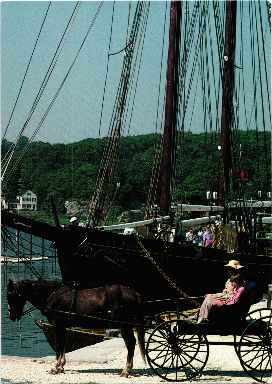 Vintage Horse-Drawn Carriage Mystic Seaport Mystic Connecticut Postcard Unposted