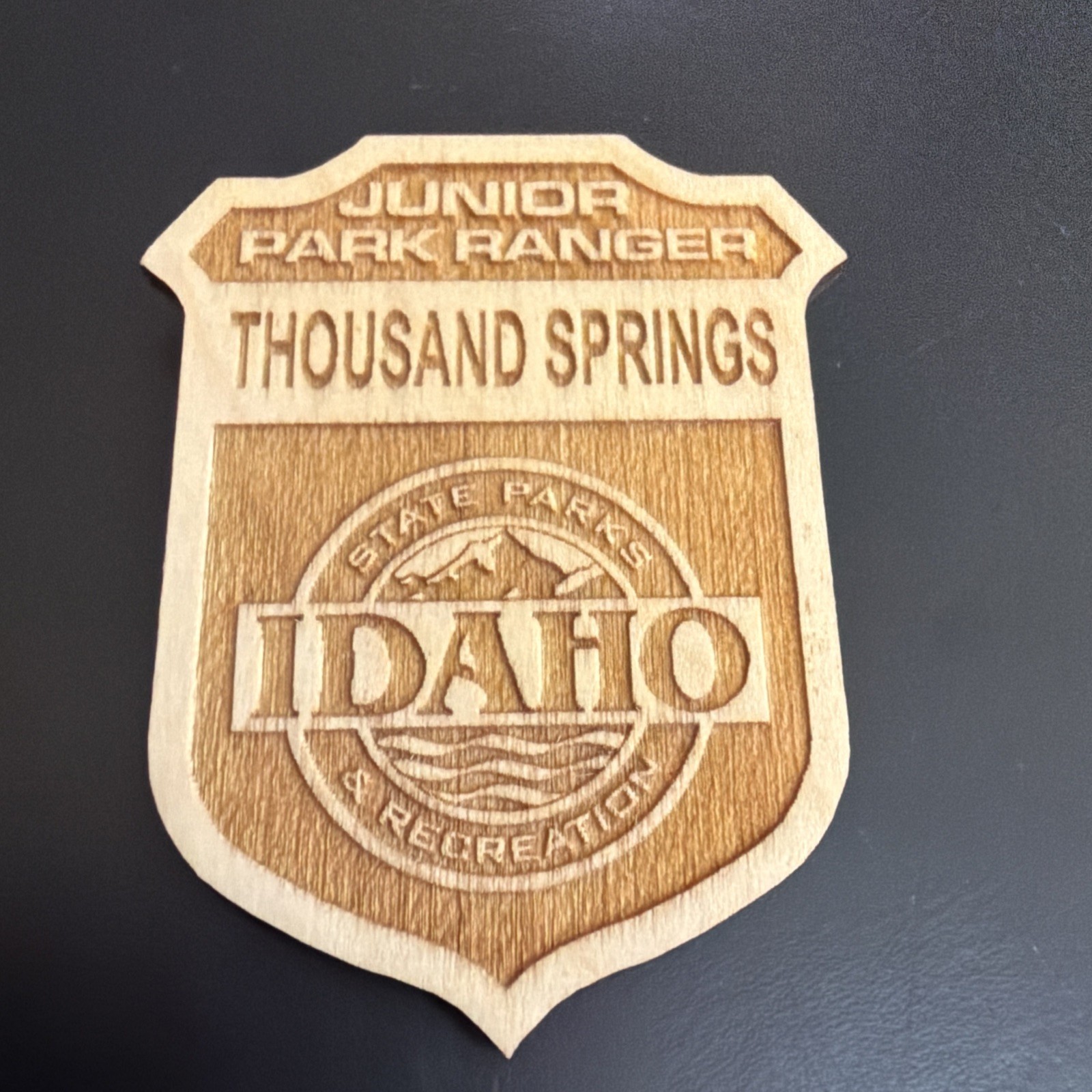 Junior Ranger Badge  National Park Thousand Springs IDAHO