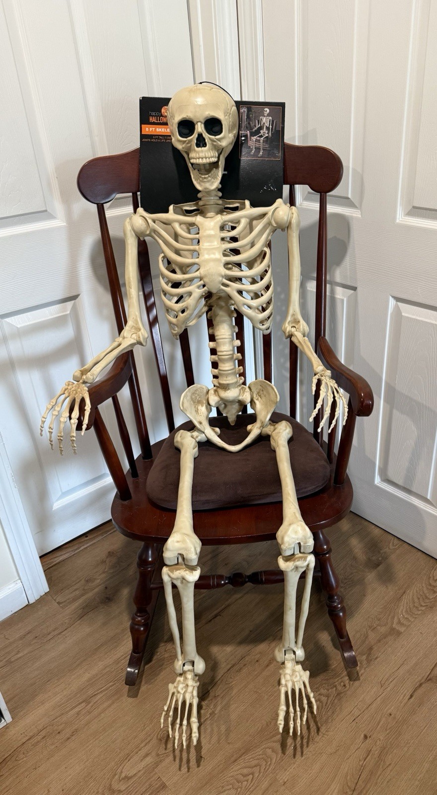 Halloween 5 ft posable skeleton, Joints hold Life Like Position-new in package