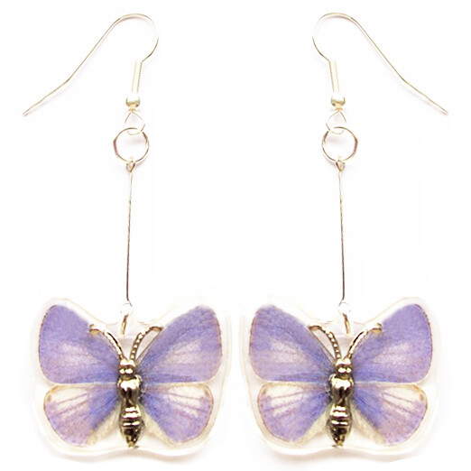 Udara dilecta purple preserved real butterfly wing earrings