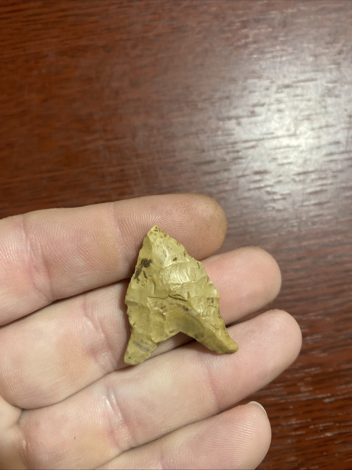 MLC s10329 Rare 1 1/4” Hardaway Dalton Arrowhead Maryland Stone Artifact MLC s10329 Rare 1 1/4” Hardaway Dalton Arrowhead Maryland Stone Artifact