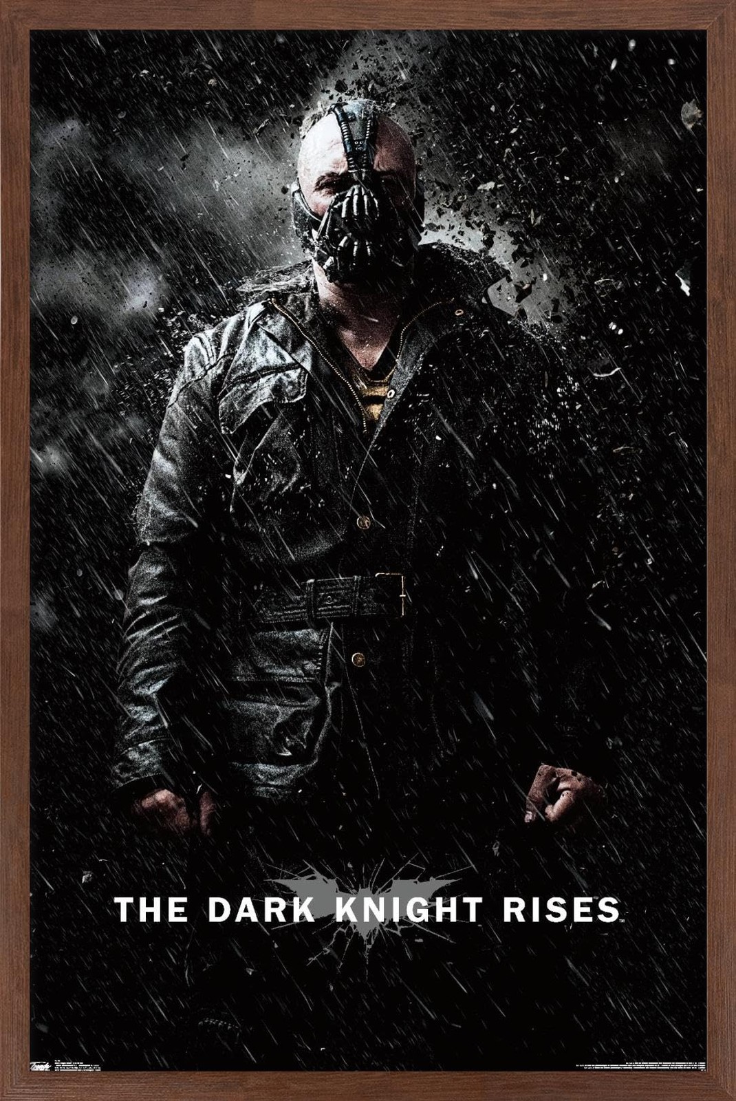 Trends International Dark Knight Rises Bane Rain Poster 22.375\