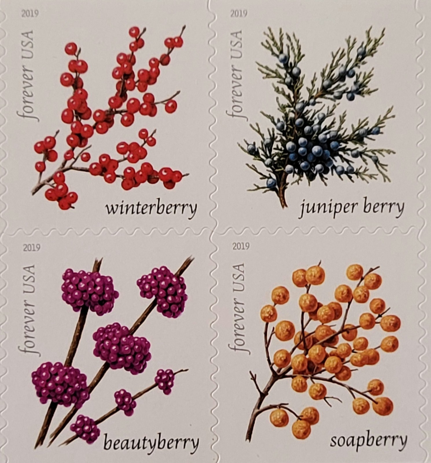 20 FOREVER FIRST CLASS LETTER STAMPS WINTER BERRIES MNH 2019 BOOK PANE