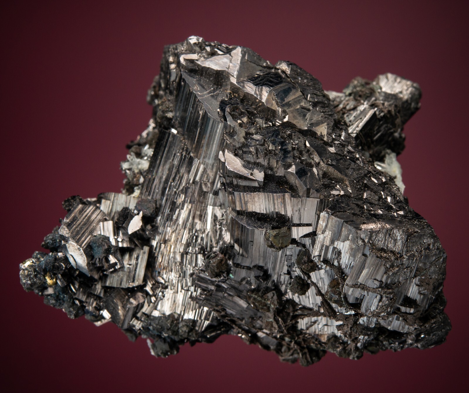 Enargite, Butte, Silver Bow County, Montana, Harris coll., 1807-M96