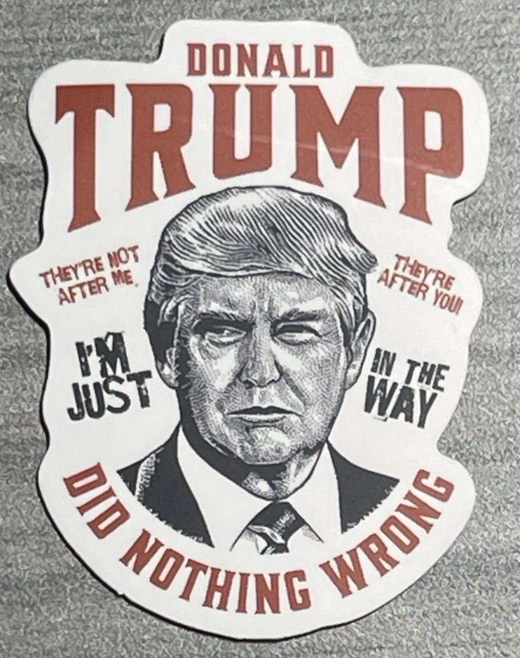 Donald Trump Did Nothing Wrong/They're After You Sticker -Open Box👀Description