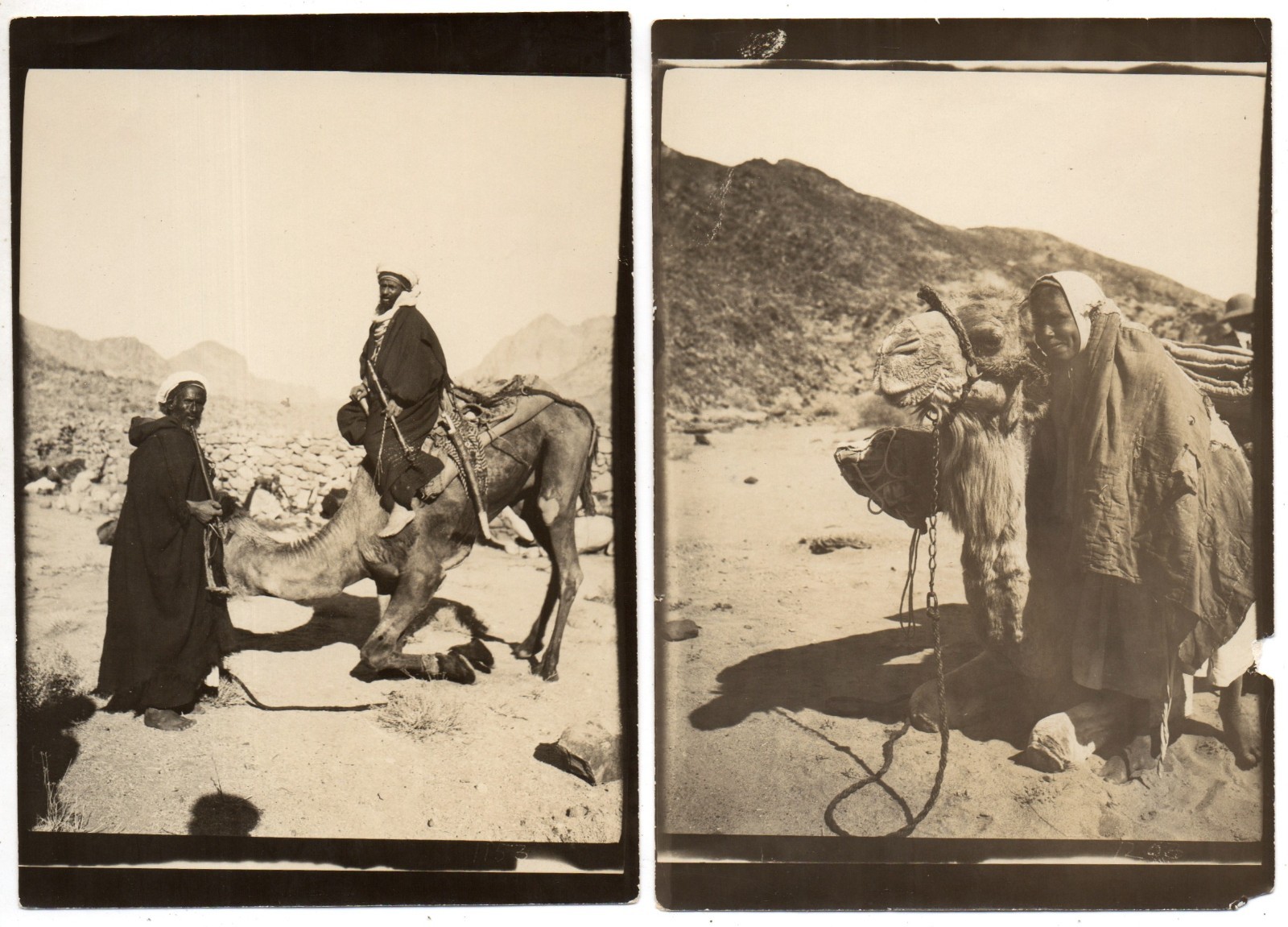 Antique photos BEDOUIN TRAVEL dromedary camels desert 1890s Egypt Africa culture