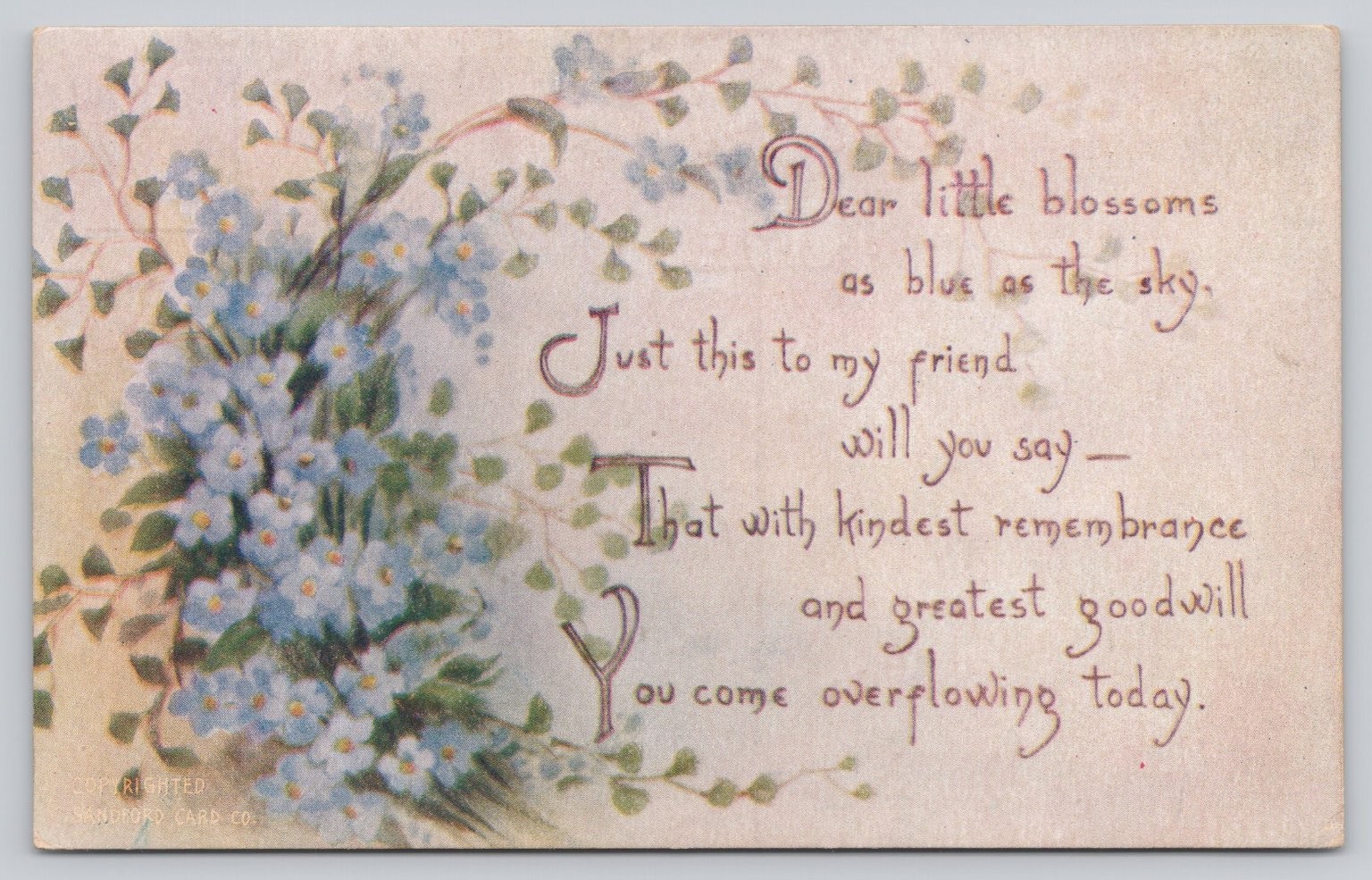 Forget Me Not Postcard Poem Sandford Card Co Danville NY Divided Back