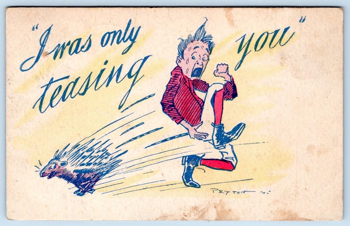 1908 I WAS ONLY TEASING YOU PORCUPINE WRITE AWAY ARTIST SIGNED PEYTON POSTCARD