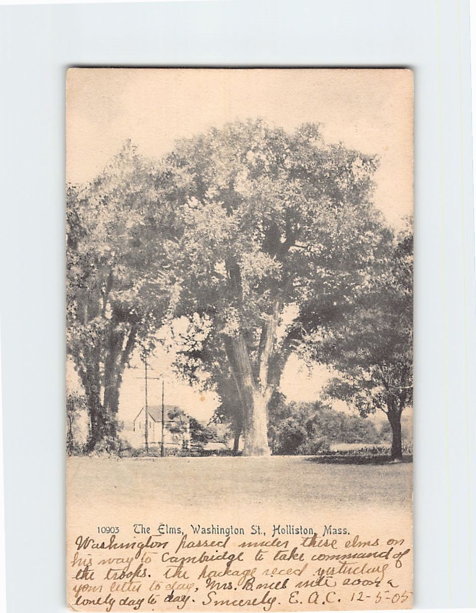 Postcard The Elms Holliston Massachusetts USA
