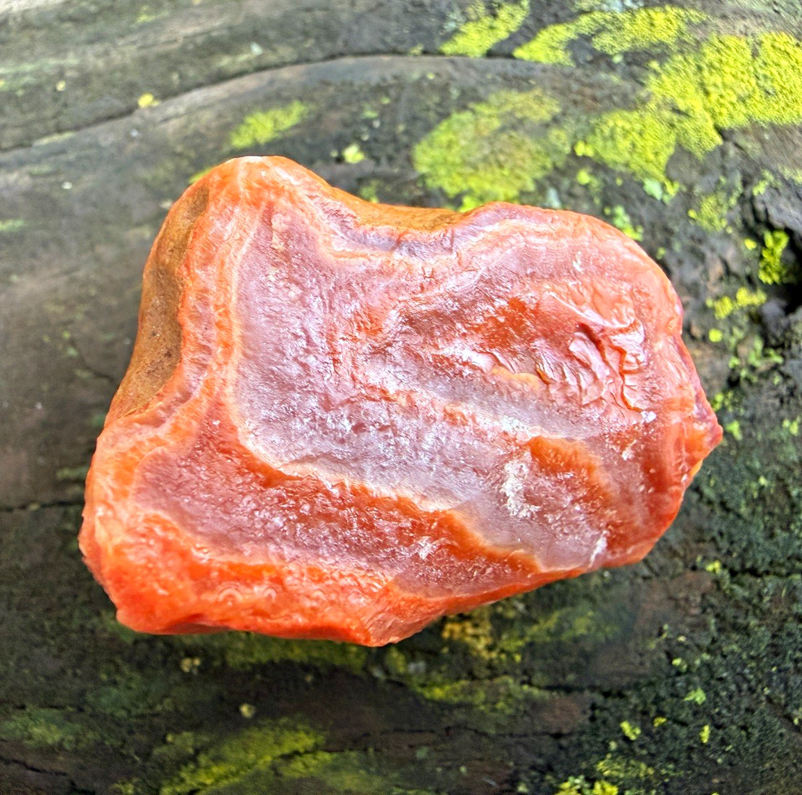 Lake Superior Agate Floater 1.46 oz Deep Red Orange Banded Natural LSA