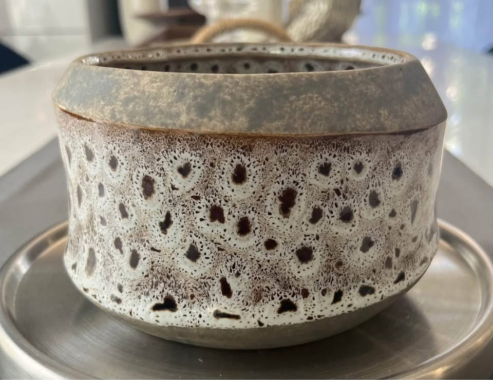 Paola Ceramic Dotted Planter Vessel Paola Ceramic Dotted Planter Vessel