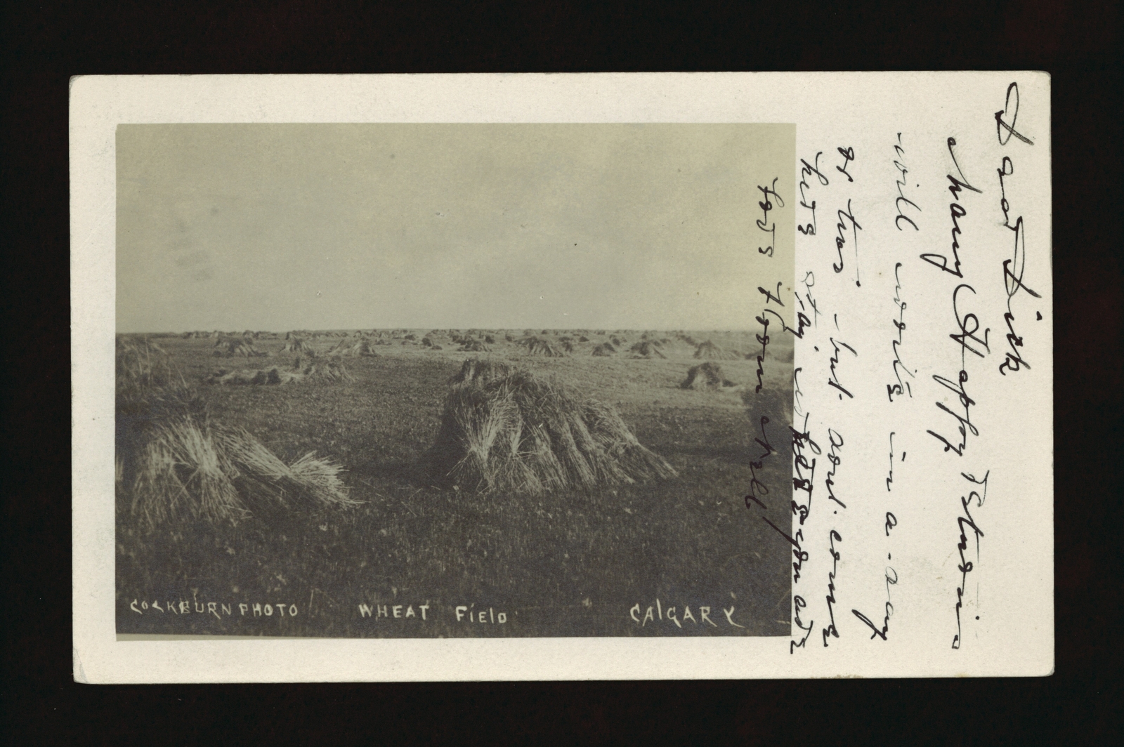 Wheat field Calgary - A field of grain stooks Canada Old Photo