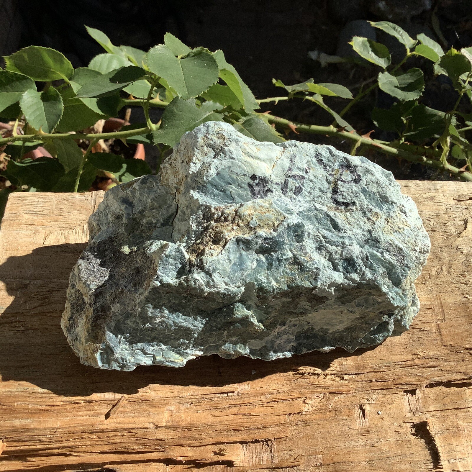 Vonsen Blue Jade Stone Nephrite Jade Rough Lapidary Stone California #12