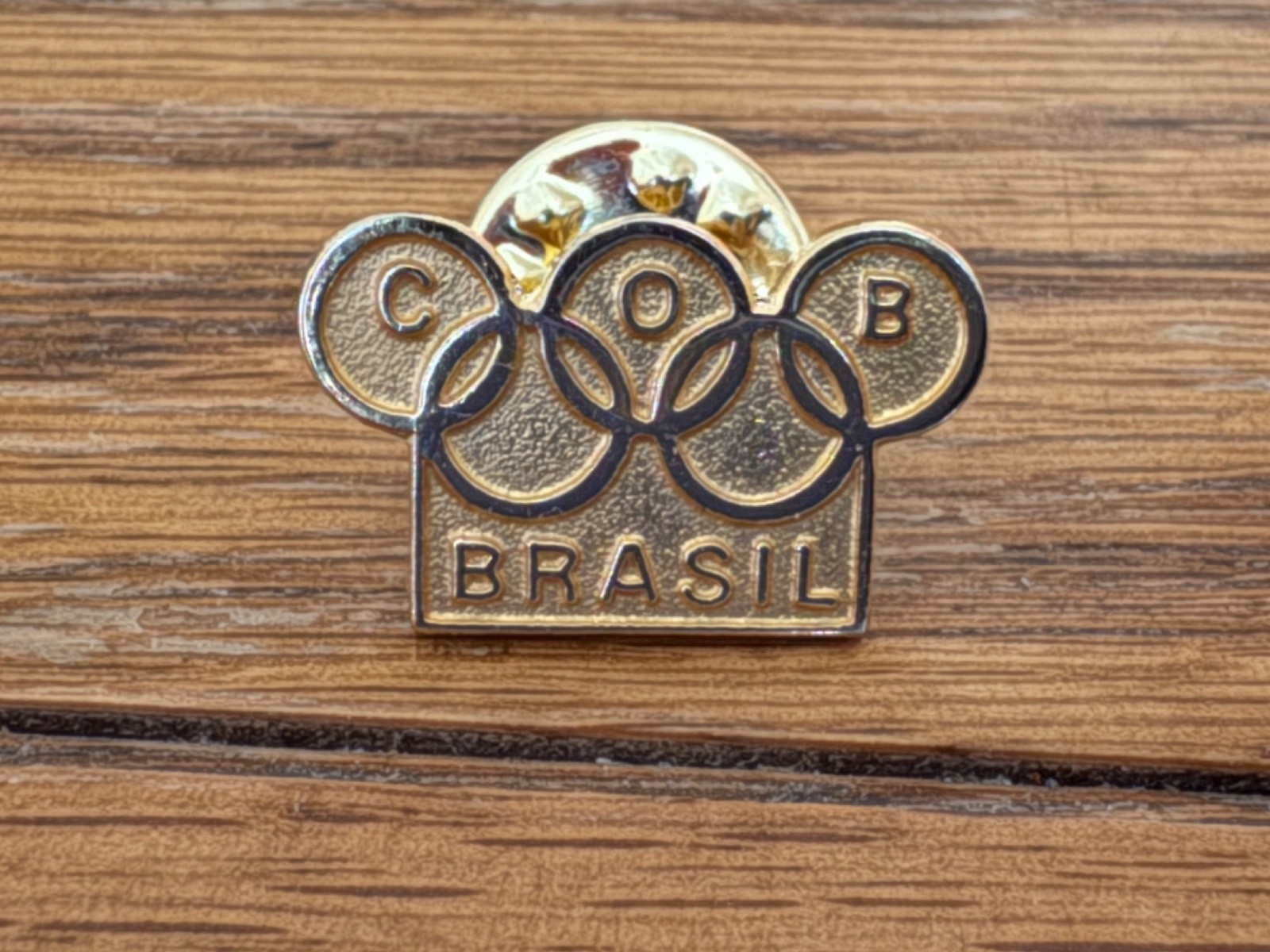 MINT OLYMPIC SPORT AND ENVIRONMENT COMMISSION  CURITIBA BRAZIL 1999 MEETING PIN