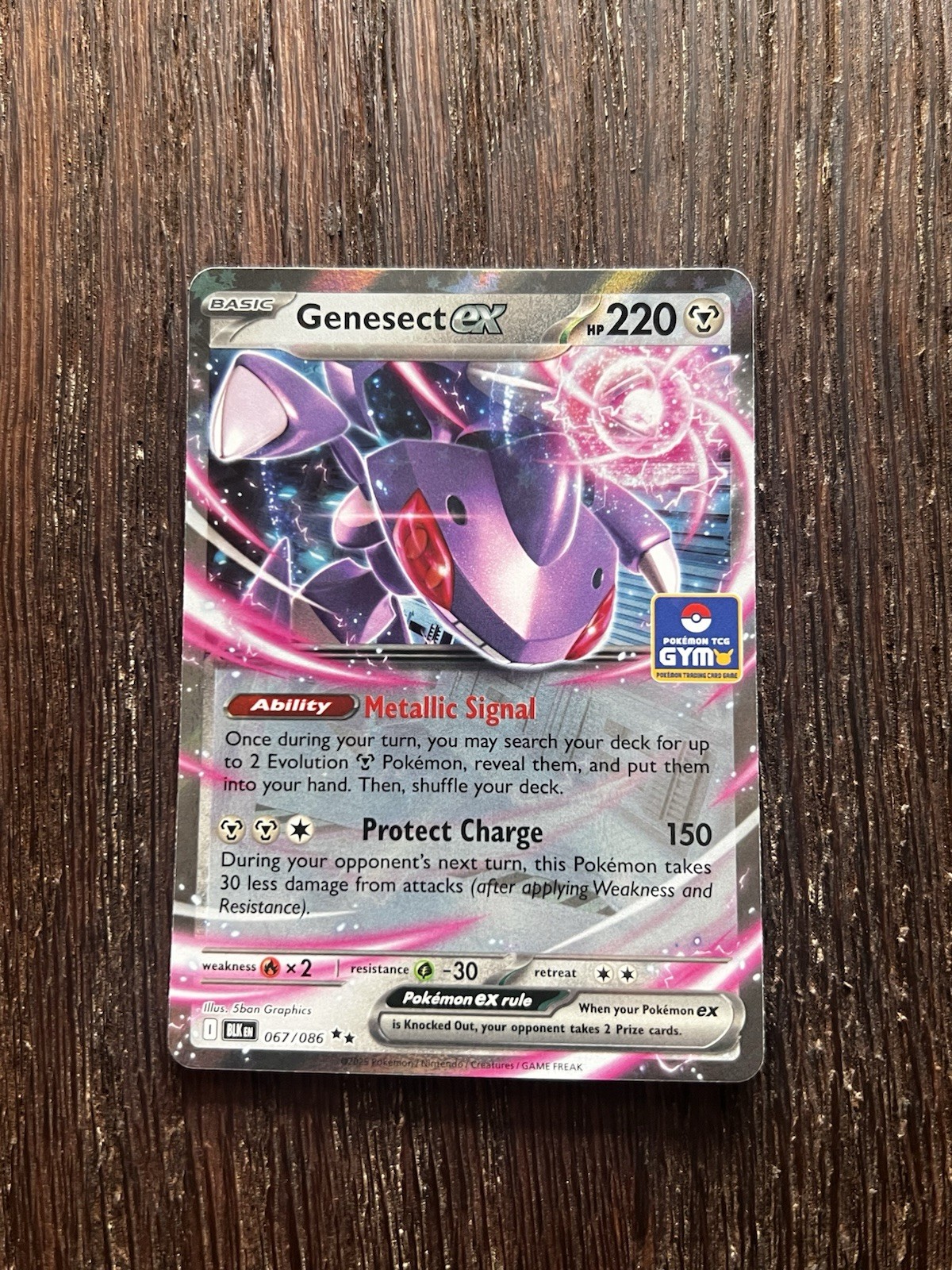 Genesect ex 067/086 Asia Exclusive GYM Promo Pokemon TCG