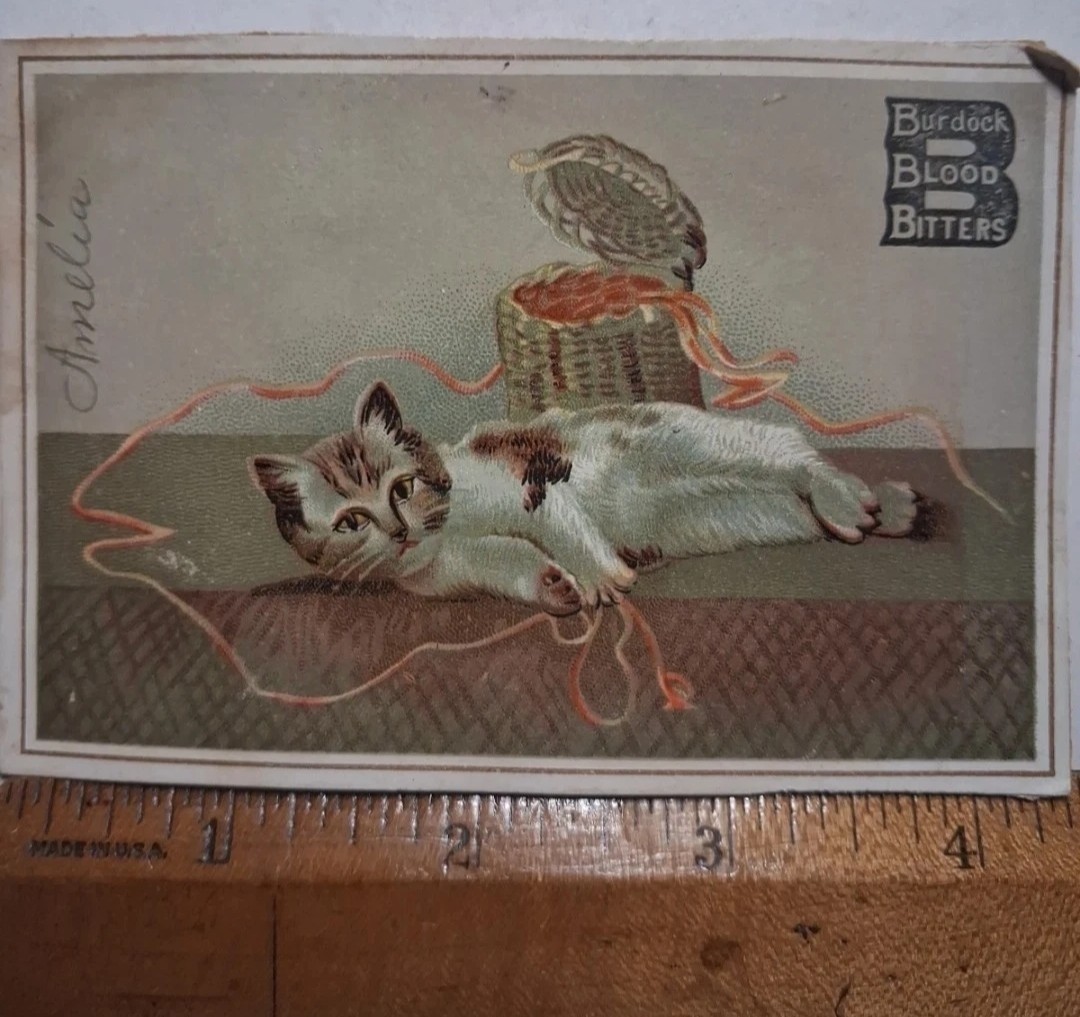 1880s-90s Cat Burdock Blood Bitters VICTORIAN Snake Oil YARN Kitty