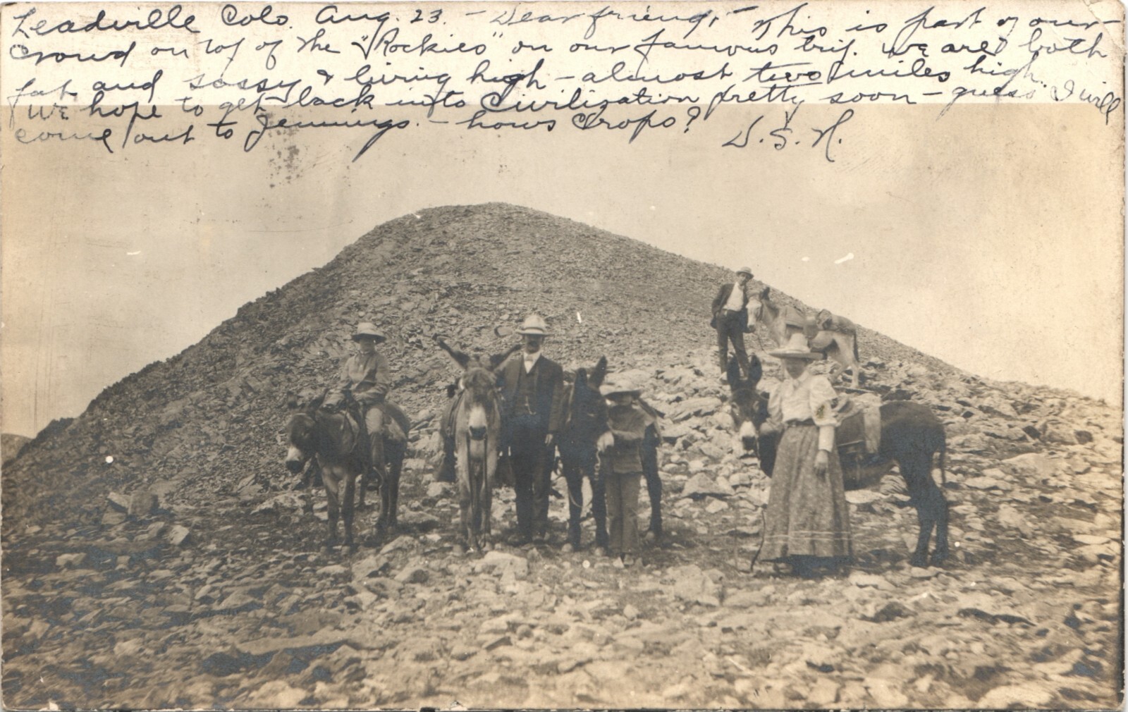 MULE PARTY leadville co real photo postcard rppc colorado donkeys mules