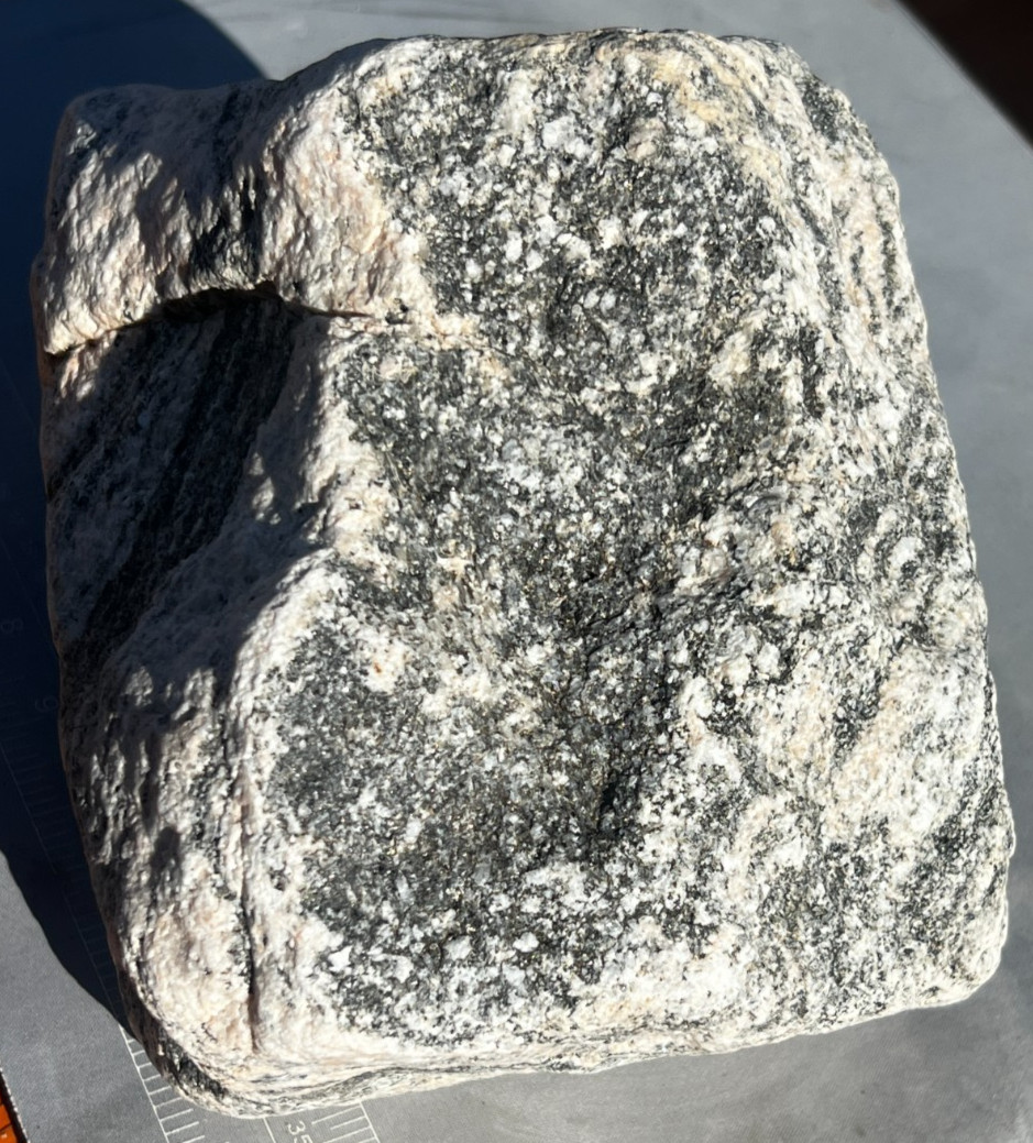 Landscape Rock - Gneiss Boulder Decretive Granite 22lbs Black and Pinkish White