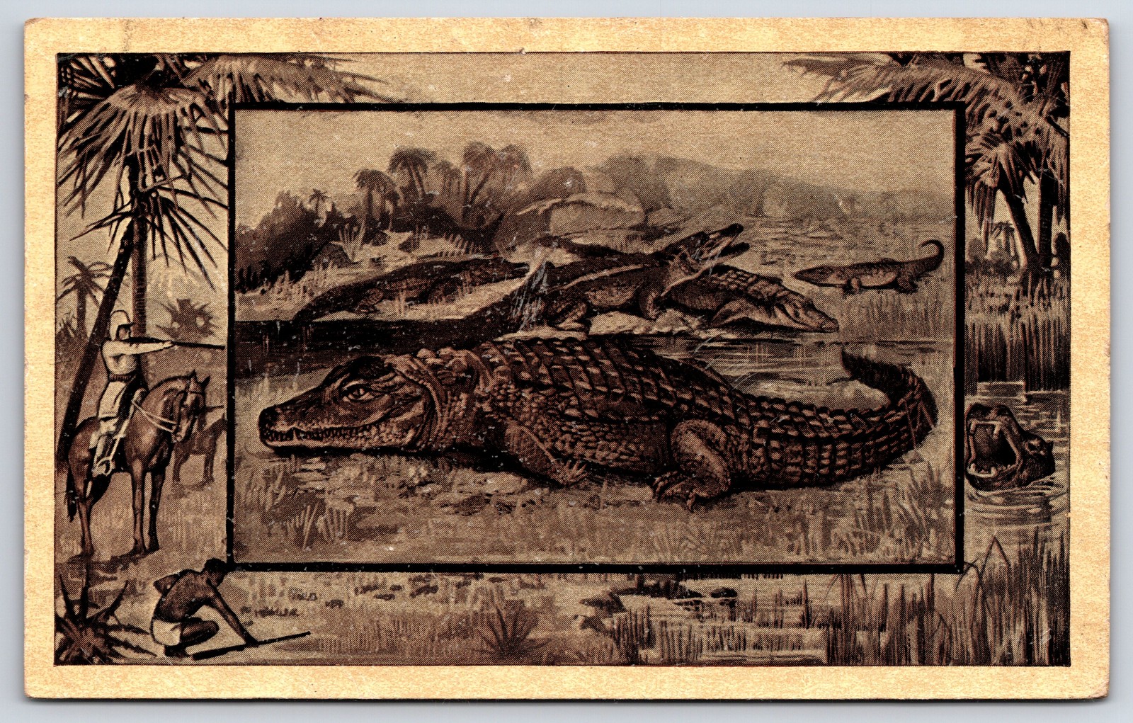 Antique 1909 Crocodile Alligator Africa Nile Illustrated Postcard M J Mintz